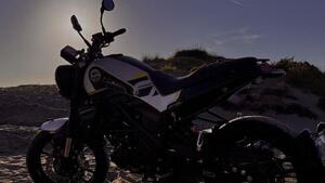 Benelli Leoncino 250 (2021 - 25) 