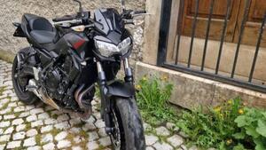 Kawasaki Z 650 (2021 - 24) 