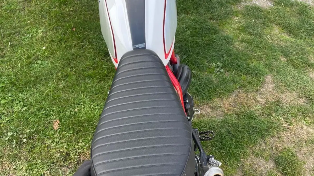 Ducati Scrambler 800 Desert Sled (2017 - 20)  (3)