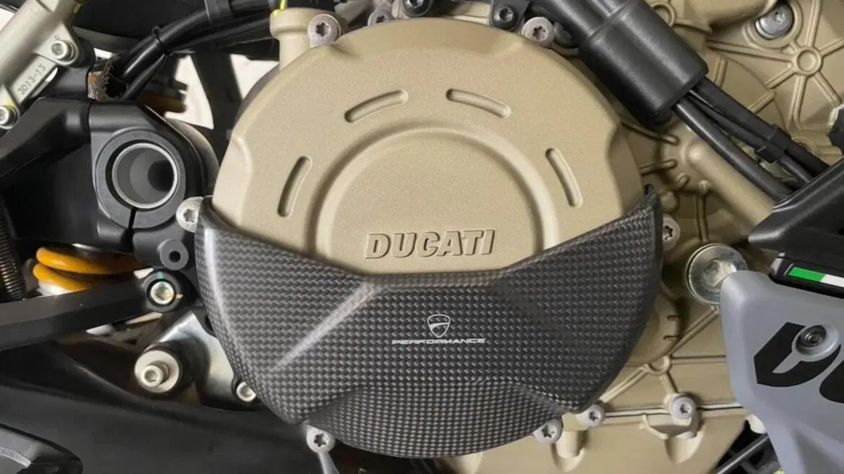 Ducati Streetfighter V4 S (2023 - 24)  (7)