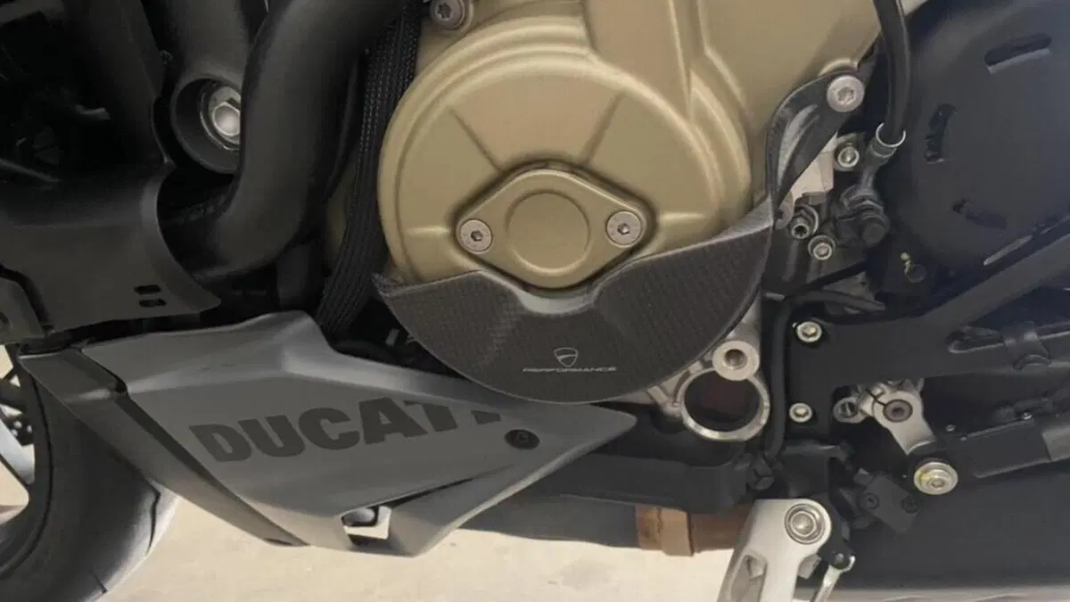 Ducati Streetfighter V4 S (2023 - 24)  (8)