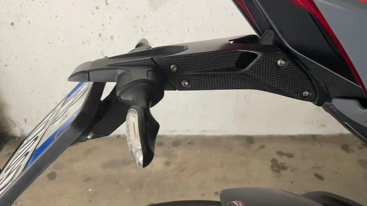 Ducati Streetfighter V4 S (2023 - 24)  (11)