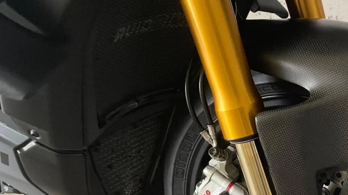 Ducati Streetfighter V4 S (2023 - 24)  (15)
