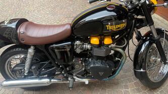 Triumph Bonneville T100 (2001 - 07) usata