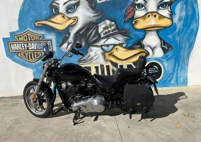 Harley-Davidson Softail Standard (2021 - 25) - Annuncio 9848590