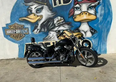 Harley-Davidson Softail Standard (2021 - 25) - Annuncio 9848610