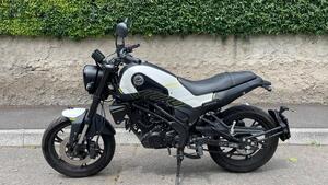 Benelli Leoncino 125 (2022 - 25) 