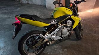 Kawasaki ER-6N (2006 - 09) usata