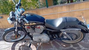 Harley-Davidson 883 Standard (2001 - 05) - XL 883 