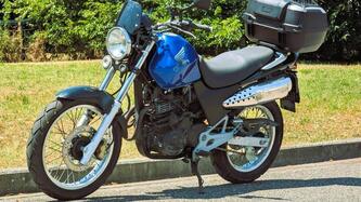 Honda FX Vigor 650 usata