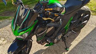Kawasaki Z 800 Performance (2013 - 13)