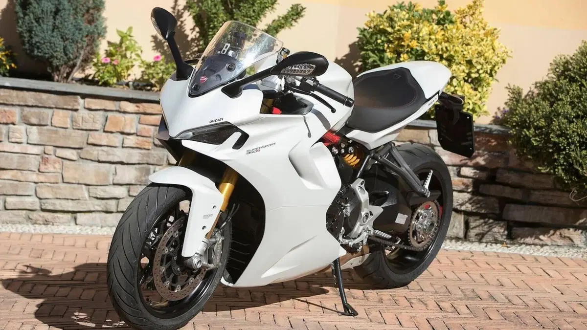 Ducati SuperSport 950 S (2021 - 24)  (14)