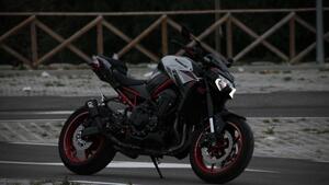 Kawasaki Z 900 Performance (2021 - 24) 