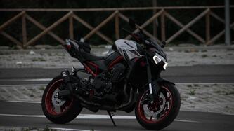 Kawasaki Z 900 Performance (2021 - 24) usata