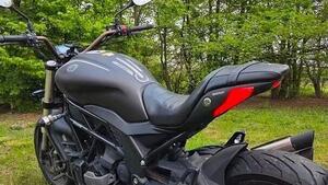 Benelli 502 C (2019 - 20) 