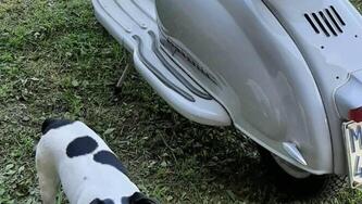 Innocenti 
