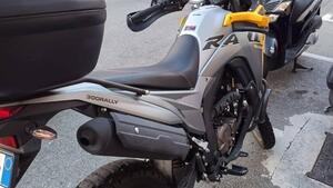 Voge Valico 300 Rally (2022 - 25) 
