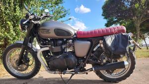 Triumph Bonneville T100 (2008 - 16) 