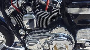 Harley-Davidson 1200 Custom (2007 - 13) - XL 1200C 