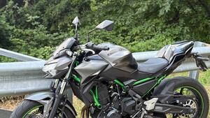 Kawasaki Z 650 Performance (2021 - 24) 