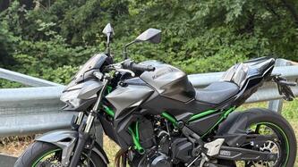 Kawasaki Z 650 Performance (2021 - 24)