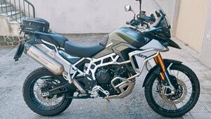 Triumph Tiger 900 Rally Pro (2024 - 25) 