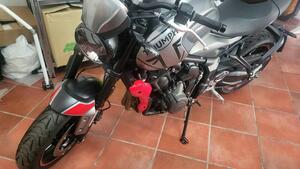Triumph Trident 660 (2021 - 24) 