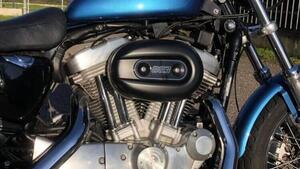 Harley-Davidson 883 (2006 - 07) - XL 