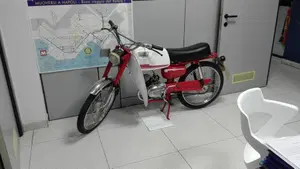 Rizzato  