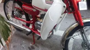 Rizzato   (2)