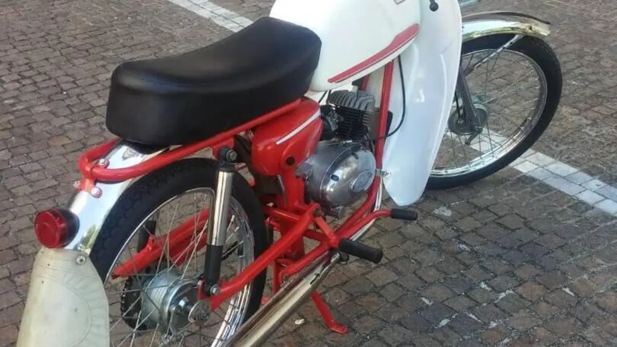 Rizzato   (5)