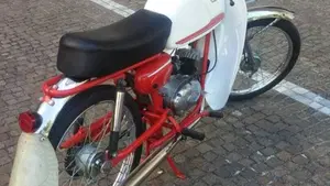 Rizzato   (5)