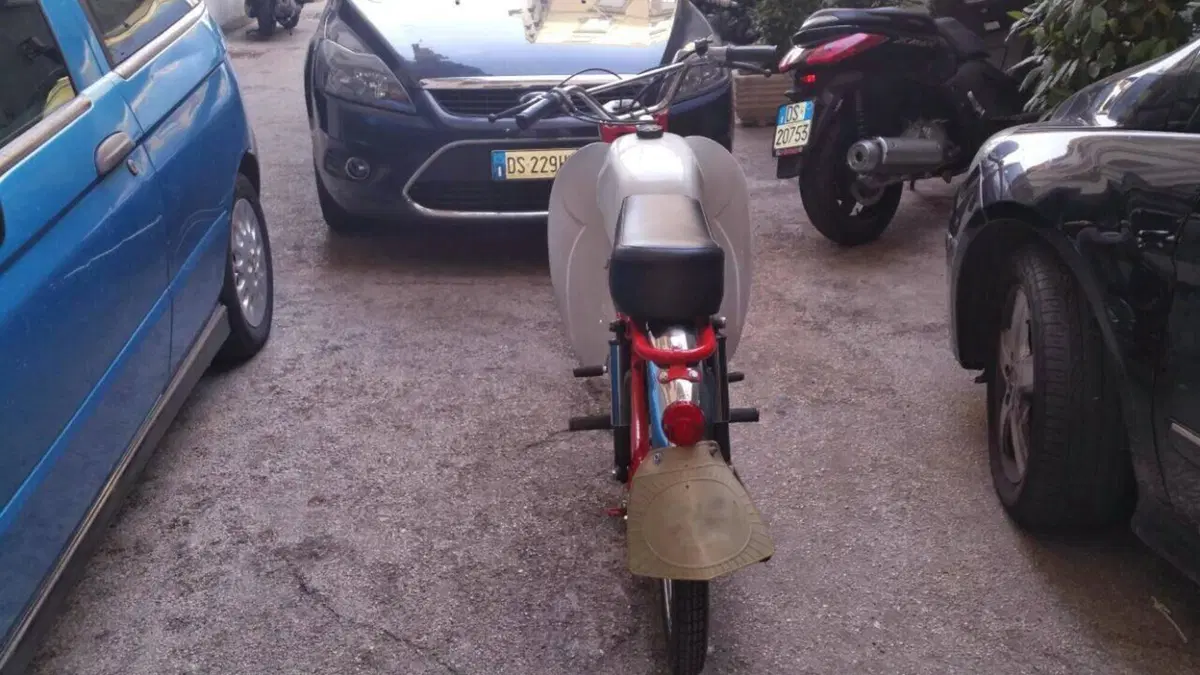 Rizzato   (7)