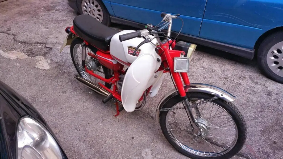 Rizzato   (9)
