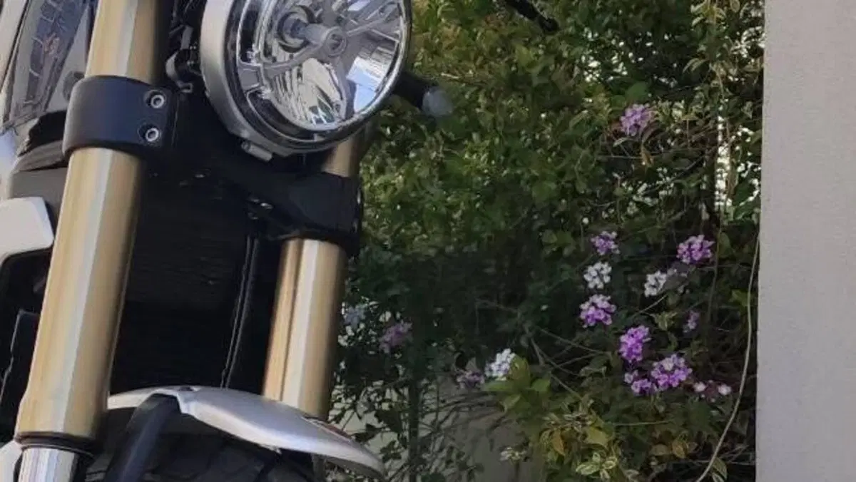 Ducati Scrambler 1100 Special (2018 - 20)  (4)