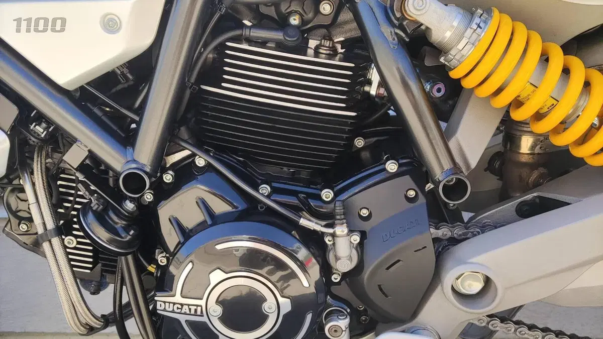 Ducati Scrambler 1100 Special (2018 - 20)  (5)