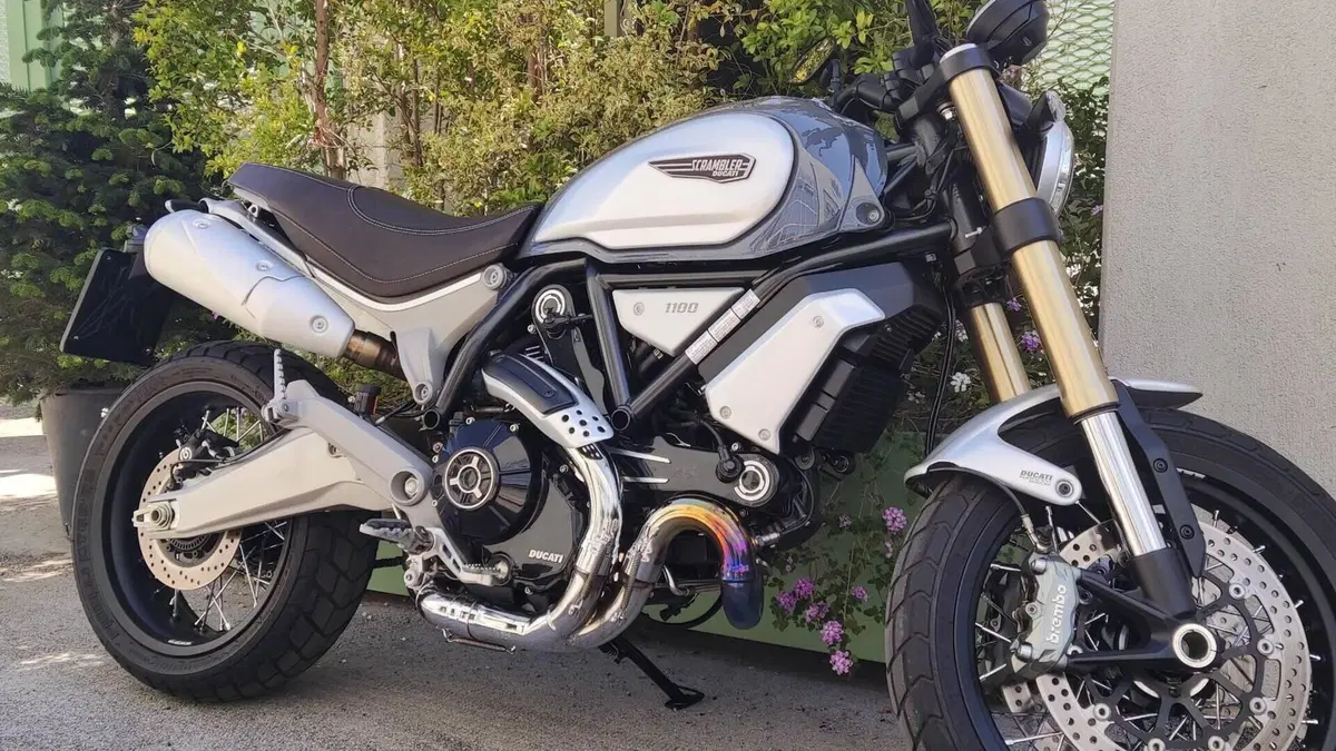 Ducati Scrambler 1100 Special (2018 - 20)  (7)