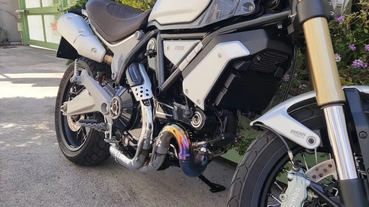 Ducati Scrambler 1100 Special (2018 - 20)  (8)