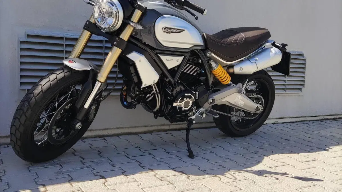 Ducati Scrambler 1100 Special (2018 - 20)  (11)