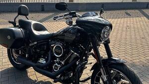 Harley-Davidson Sport Glide (2021 - 25) 