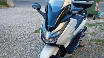 Honda Forza 300 ABS (2018 - 20) usata