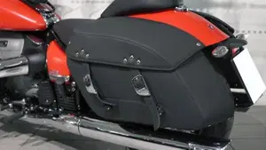 Bmw R 18 (2020 - 24)  (4)