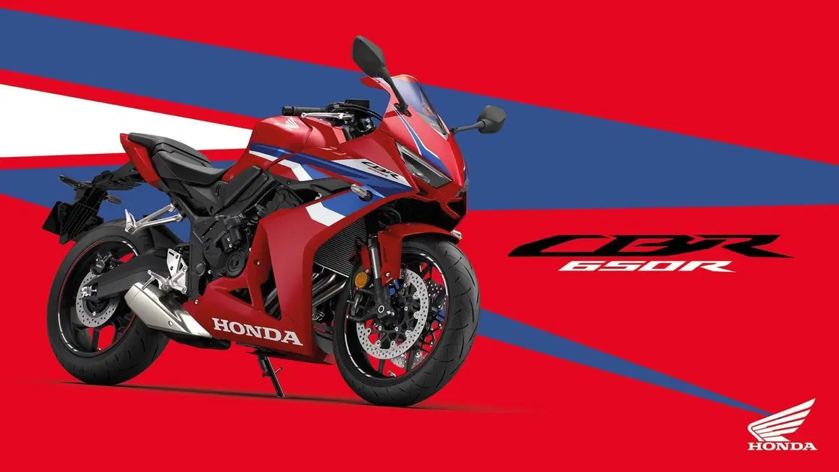 Honda CBR 650 R E-Clutch (2024 - 26)  (11)