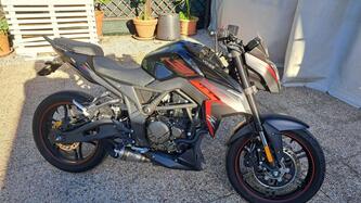 Voge Brivido 300R (2021 - 24) usata
