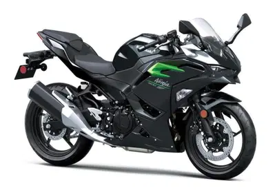 Kawasaki Ninja 500 (2024 - 26) - Annuncio 9851969