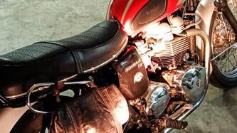 Triumph 