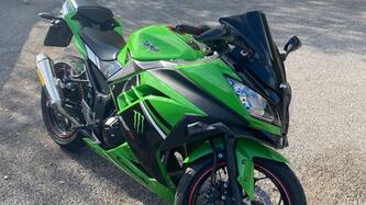 Kawasaki Ninja 300 ABS (2012 - 16) usata