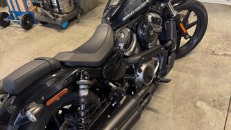 Harley-Davidson Nightster (2023 - 25) usata