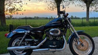 Harley-Davidson 1200 Roadster (2006 - 08) - XL 1200R
