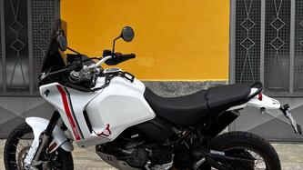 Ducati DesertX (2022 - 25) usata
